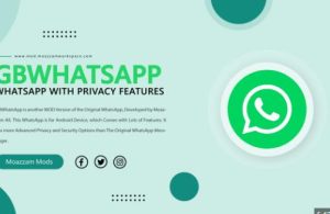 Navigating Privacy Settings in Baixar GB WhatsApp