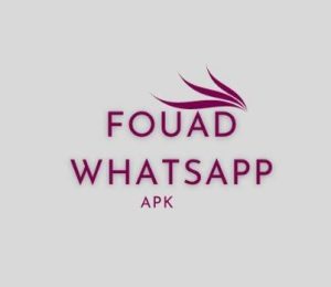 Exploring Fouad WhatsApp: A User's Guide